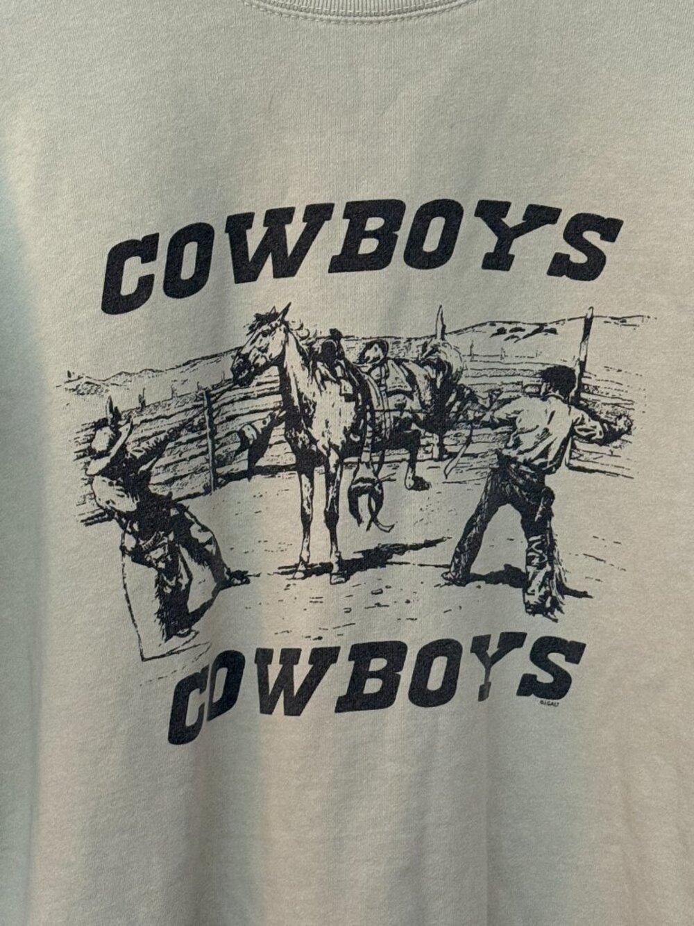 John Galt Brandy Melville COWBOYS Rodeo Horses Crew Sweatshirt One Size M/L - Picture 4 of 5